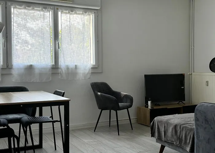 Appartement Parking Proche Dijon Centre
